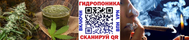 купить  цена  Починок  гидра как зайти  Еда ТГК марихуана 