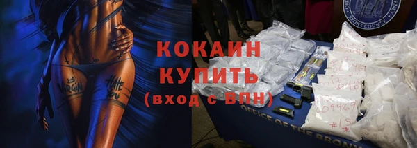 гидра Арсеньев