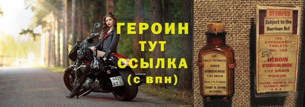гидра Арсеньев