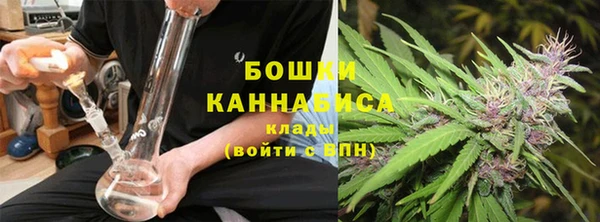 гидра Арсеньев