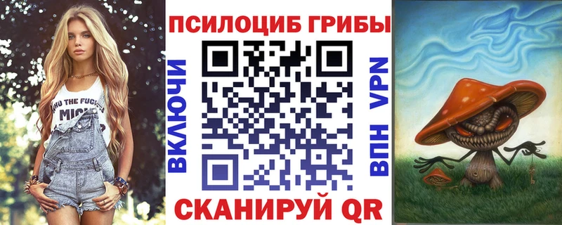 darknet наркотические препараты  Починок  Галлюциногенные грибы Psilocybine cubensis 